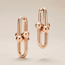 HardWear Extra Large Link Earrings