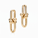 HardWear Link Earrings