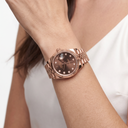 Lady-Datejust Chocolate Diamond Dial Full Everose Watch