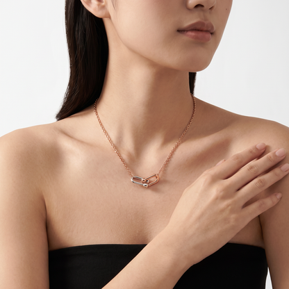 Small HardWear Two Tone Link Pendant Necklace