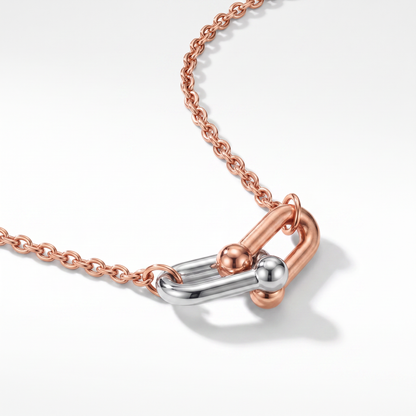 Small HardWear Two Tone Link Pendant Necklace