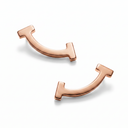 T Smile Mini Stud Earrings