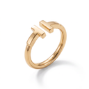 TT Slim Wire Open Ring