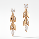 Victoria Vine Convertible Drop Earrings