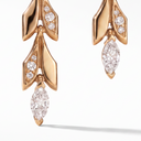 Victoria Vine Convertible Drop Earrings